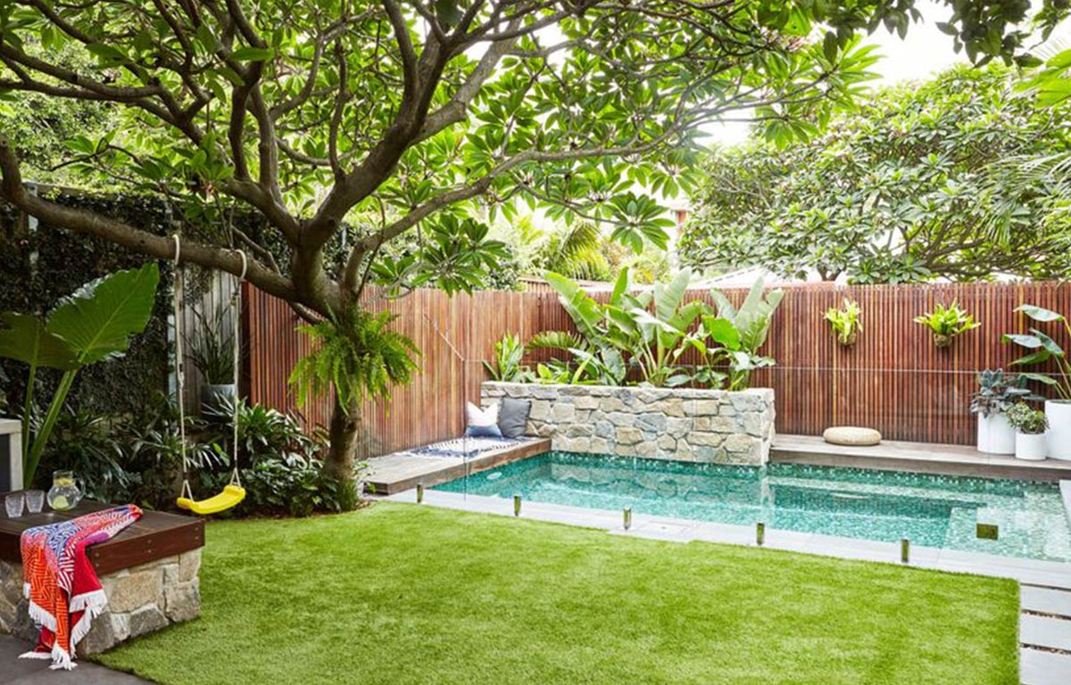 Shady Plants for your Pool Area – The Balcony Garden