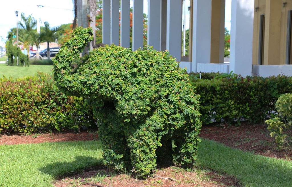 The Art of Topiary: Sculpting Living Masterpieces