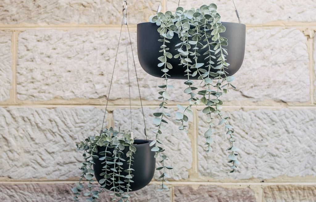 How To Install Our Maggie Hanging Pots