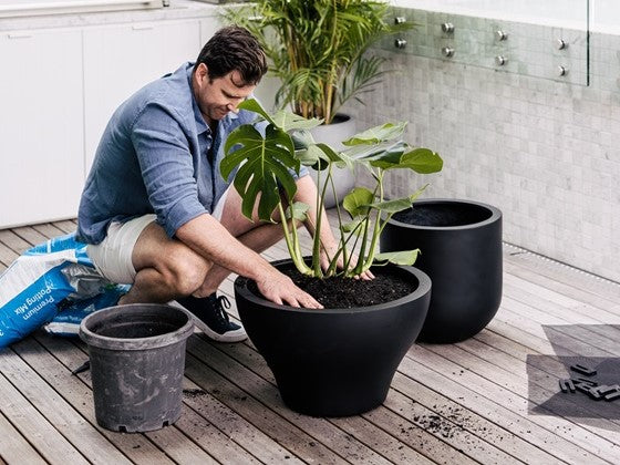 How to Pot Up Your Plants Like a Pro