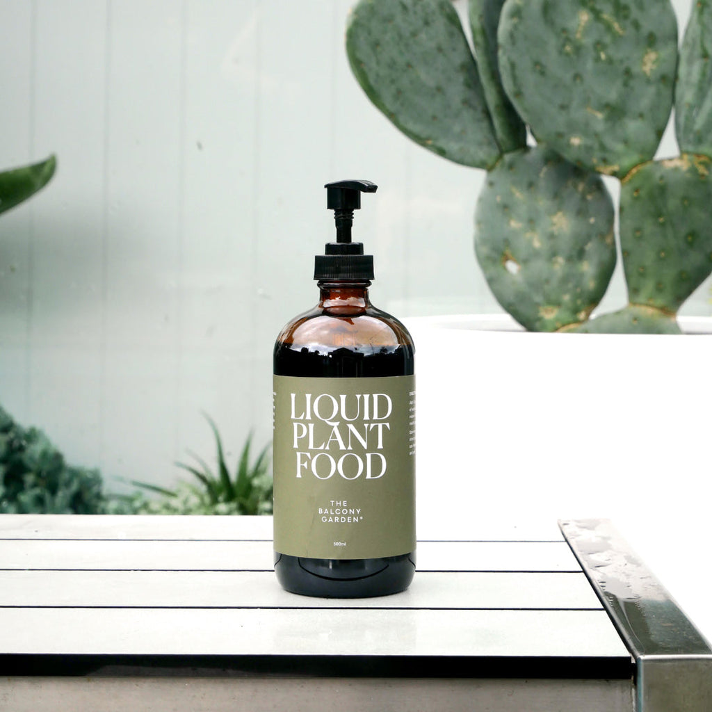 An open bottle of Liquid Plant Food in front of a Prickly Pear Cactus in a white garden pot.